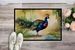 Peacock Doormat Front Door Mat Indoor Outdoor Rugs For Entryway, Non Slip Washable Low Pile, 24H X 36W_maomaolike.com