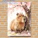Capybara & Cherry Blossom Painting Poster, Watercolor-style Gentle Capybara Under Blooming Cherry Blossoms Poster, Soft Tranquil Aesthetic Ideal For_maomaolike.com