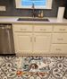 American English Coonhound The Chef Memory Foam Kitchen Mat Machine Washable Anti-Fatigue Mat Cushion Comfort Bath Mat Or Kitchen Rug_maomaolike.com