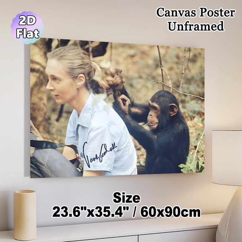 Chimpanzee & Human Interaction Painting Poster, Vintage Warm Wildlife Scene Poster, Heartwarming Animal-human Bond Decor For Living Room, Study And_maomaolike.com