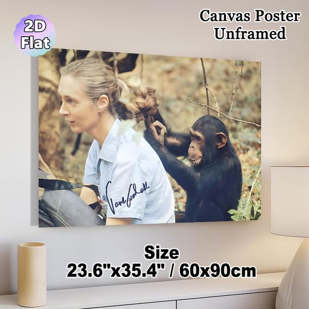 Chimpanzee & Human Interaction Painting Poster, Vintage Warm Wildlife Scene Poster, Heartwarming Animal-human Bond Decor For Living Room, Study And_maomaolike.com