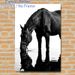 Black Horse Drinking Painting Poster, Monochrome Realistic Horse & Water Reflection Poster, Tranquil Elegant Wall Art, Suitable For Living Room_maomaolike.com