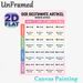 German Definite Article Grammar Painting Poster, Pastel-colored Clear-structured Grammar Chart Poster, Practical Guide To Master German Articles_maomaolike.com