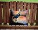 Blue Heron Setting Sun Throw Pillow Machine Washable, Indoor Outdoor Decorative Pillow For Couch, Bed Or Patio, 14Hx14W_maomaolike.com