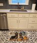 Cairn Terrier Fall Kitchen Pumpkins Memory Foam Kitchen Mat Machine Washable Anti-Fatigue Mat Cushion Comfort Bath Mat Or Kitchen Rug_maomaolike.com