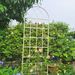 2 Pack Metal Garden Trellis 86.7" X 19.7" Rustproof Trellis For Climbing Plants Outdoor Flower Support Cream White_maomaolike.com