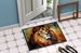 Lion Doormat Front Door Mat Indoor Outdoor Rugs For Entryway, Non Slip Washable Low Pile, 24H X 36W_maomaolike.com
