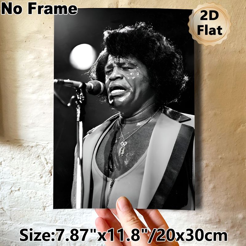 Soul Music Performer Painting Poster, Vintage Monochrome Live Performance Poster, Captures Passionate Stage Energy, Ideal For Music Studio And Living_maomaolike.com