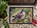 Pigeon Doormat Front Door Mat Indoor Outdoor Rugs For Entryway, Non Slip Washable Low Pile, 24H X 36W_maomaolike.com