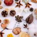 Natural Plant Materials Decorative Ornaments Wreath Handmade Hanging Decor Dried Fruit Combination Set DIY_maomaolike.com