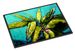 Baby Nanners Doormat Front Door Mat Indoor Outdoor Rugs For Entryway, Non Slip Washable Low Pile, 24H X 36W_maomaolike.com