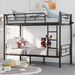 BUNK BED_maomaolike.com