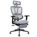 Multi-functional Ergonomic Mesh Office Chair With Adjustable Armrest,Footrest,Lumbar Support, 360° Silent Wheels,Headrest For Home & Office_maomaolike.com