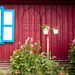 4 Pack Metal Garden Trellis 78.7" X 19.7" Rustproof Trellis For Climbing Plants Outdoor Flower Support Black_maomaolike.com