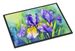 Tennessee Iris In Watercolor Doormat Front Door Mat Indoor Outdoor Rugs For Entryway, Non Slip Washable Low Pile, 24H X 36W_maomaolike.com