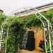 Metal Garden Arch W74.4'' X H98.4'' Garden Arbor Trellis Climbing Plants Support Rose Arch Outdoor Arch_maomaolike.com