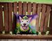 English Bull Terrier King Of Mardi Gras Throw Pillow Machine Washable, Indoor Outdoor Decorative Pillow For Couch, Bed Or Patio, 14Hx14W_maomaolike.com
