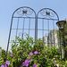 4 Pack Metal Garden Trellis 86.7" X 19.7" Rustproof Trellis For Climbing Plants Outdoor Flower Support Black_maomaolike.com
