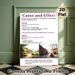 Cause And Effect Educational Painting Poster, Clear-structured Informative Historical Poster, Detailed Cause & Effect Analysis With Rural-industrial_maomaolike.com