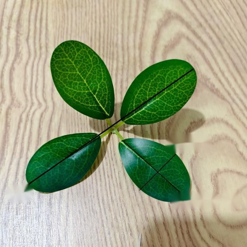 Single-piece Artificial Small Money Bayberry Store Gift Box Decoration, Fake Leaves, Plastic Fruit Green Leaves_maomaolike.com