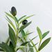 Cross-border Artificial Olive Floor Decoration Floral Arrangement Ornament Potted Fake Tree Plant With Green_maomaolike.com