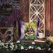 Tibetan Spaniel King Of Mardi Gras Throw Pillow Machine Washable, Indoor Outdoor Decorative Pillow For Couch, Bed Or Patio, 14Hx14W_maomaolike.com