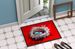 Egg-Stra Special Bird Nest Doormat Front Door Mat Indoor Outdoor Rugs For Entryway, Non Slip Washable Low Pile, 24H X 36W_maomaolike.com