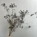 Artificial 13 Forks Large Clusters Mountain Return Fruit Vine Berry Wrapped Branch Floral Art Chinese Style Flower_maomaolike.com