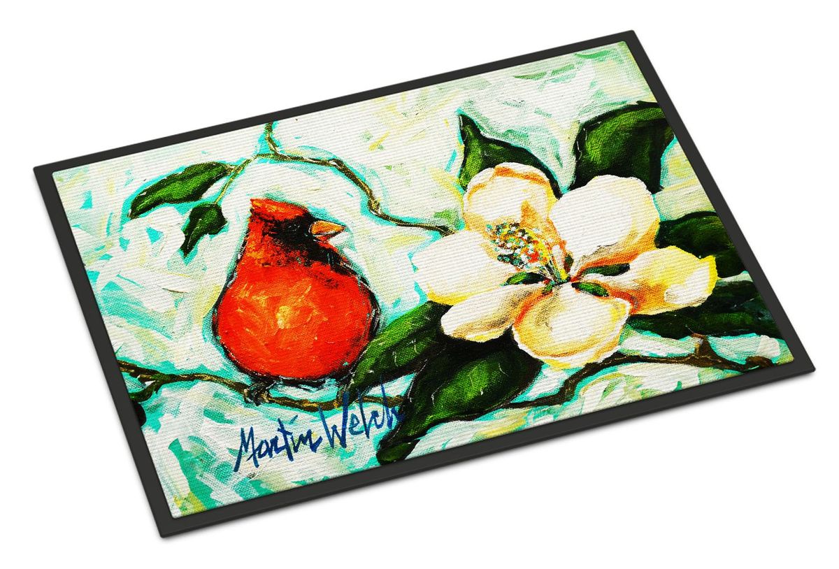Cardinal Aqua Doormat Front Door Mat Indoor Outdoor Rugs For Entryway, Non Slip Washable Low Pile, 24H X 36W_maomaolike.com