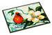 Cardinal Aqua Doormat Front Door Mat Indoor Outdoor Rugs For Entryway, Non Slip Washable Low Pile, 24H X 36W_maomaolike.com