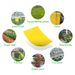 Sticky Insect Board Powerful Flycatcher Yellow Blue Sticker Sheet Greenhouse Pest Control Insecticide Double-sided_maomaolike.com