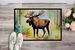 Moose Doormat Front Door Mat Indoor Outdoor Rugs For Entryway, Non Slip Washable Low Pile, 24H X 36W_maomaolike.com