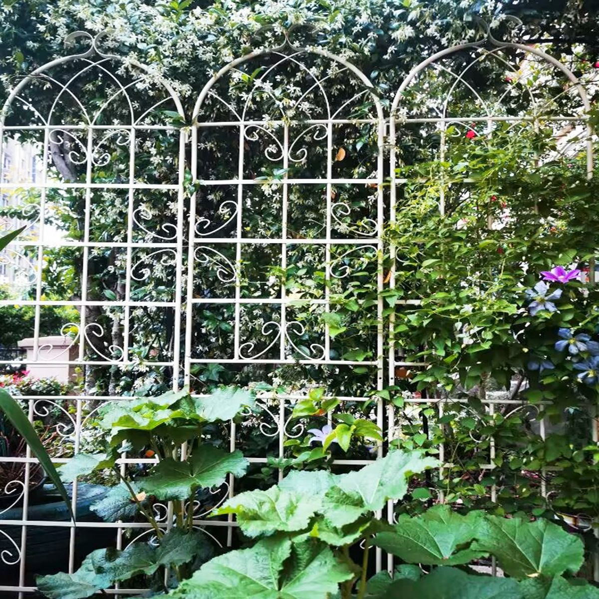 2 Pack Metal Garden Trellis 86.7" X 19.7" Rustproof Trellis For Climbing Plants Outdoor Flower Support Cream White_maomaolike.com