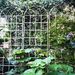 2 Pack Metal Garden Trellis 86.7" X 19.7" Rustproof Trellis For Climbing Plants Outdoor Flower Support Cream White_maomaolike.com