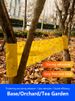 1 Roll Of Yellow Double-sided Proof Tape To Prevent Insects, Ants, And Moths From Climbing. Outdoor Garden Insect Trap_maomaolike.com