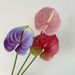Miniature Red Anthurium Artificial Soft Rubber Texture Succulent Green Home Decoration Flower Arrangement Potted Plant_maomaolike.com