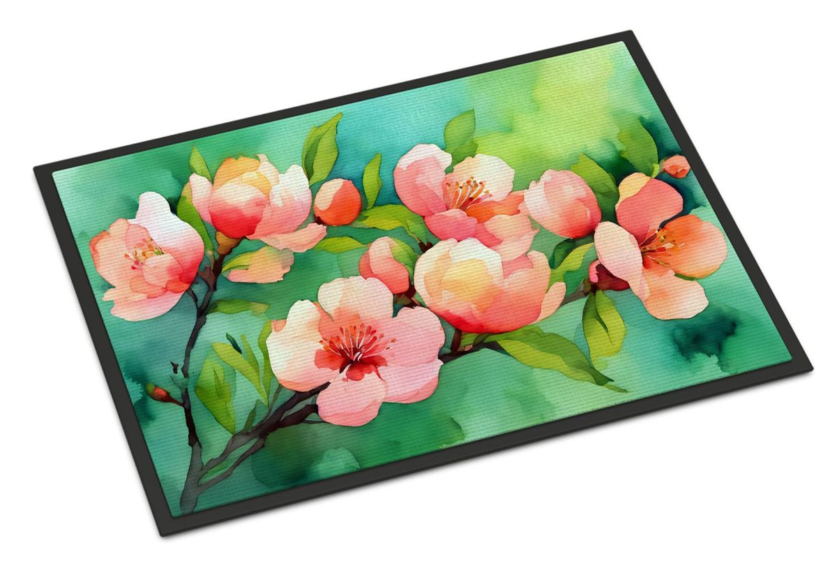 Delaware Peach Blossom In Watercolor Doormat Front Door Mat Indoor Outdoor Rugs For Entryway, Non Slip Washable Low Pile, 24H X 36W_maomaolike.com