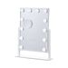 VEVOR Hollywood Vanity Makeup Mirror With Lights 5X Magnification 16.1x11.8 In_maomaolike.com