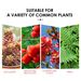 Yegbong Plant Growth Nutrition Sustained-Release Tablet, Fruit And Vegetable Plant Pot Root Growth Universal Nutrition Tablet_maomaolike.com