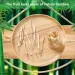 100pcs/500pcs Bamboo Fork - 9Cm/3.54In, Disposable Double Prong Fruit Tail Forks_maomaolike.com