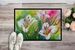 Utah Sego Lilies In Watercolor Doormat Front Door Mat Indoor Outdoor Rugs For Entryway, Non Slip Washable Low Pile, 24H X 36W_maomaolike.com