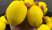 Factory Direct Sale Artificial Fake Yellow Lemon Fruit Model Foam Styrofoam Material Photography Prop Decoration_maomaolike.com