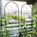 4 Pack Metal Garden Trellis 78.7" X 19.7" Rustproof Trellis For Climbing Plants Outdoor Flower Support Black_maomaolike.com