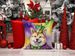 Akita King Of Mardi Gras Throw Pillow Machine Washable, Indoor Outdoor Decorative Pillow For Couch, Bed Or Patio, 18Hx18W_maomaolike.com