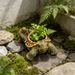 Resin Turtle Flowerpot Ornament, Home Garden Succulent Plant Decoration, Animal-shaped Simulation Craft_maomaolike.com
