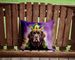 Newfoundland King Of Mardi Gras Throw Pillow Machine Washable, Indoor Outdoor Decorative Pillow For Couch, Bed Or Patio, 14Hx14W_maomaolike.com