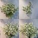 Fresh And Simple Manufacturer Gypsophila Wholesale Artificial Fake Export Flower Arrangement Home Decoration Wedding_maomaolike.com