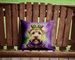 Wheaten Terrier King Of Mardi Gras Throw Pillow Machine Washable, Indoor Outdoor Decorative Pillow For Couch, Bed Or Patio, 14Hx14W_maomaolike.com