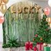 12 Pack Gold Foil Tassel Backdrop Curtains, Tinsel Streamers Birthday Party Decoration, Graduation Tassel Backdrop, Baby Shower, Gender Reveal, Disco Party_maomaolike.com
