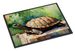 Turtles Tortoises Doormat Front Door Mat Indoor Outdoor Rugs For Entryway, Non Slip Washable Low Pile, 24H X 36W_maomaolike.com